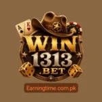 win1313bet Game