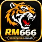 Explore the RM666 Game APK for Android. A detailed guide on features, JazzCash/Easypaisa payments, and safety tips for Pakistani users.