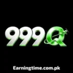 999Q Game